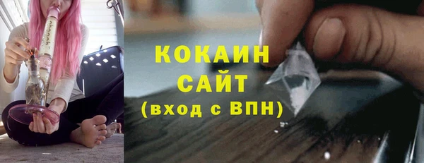гидра Абаза