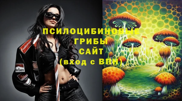 мдпв Алексин
