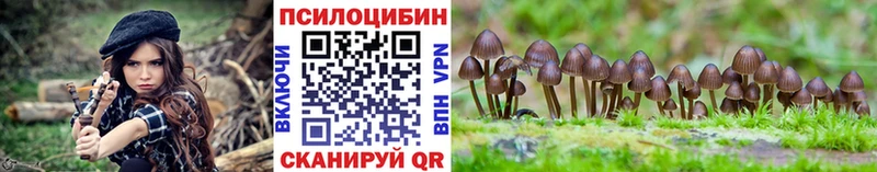 Псилоцибиновые грибы Cubensis  Мещовск 